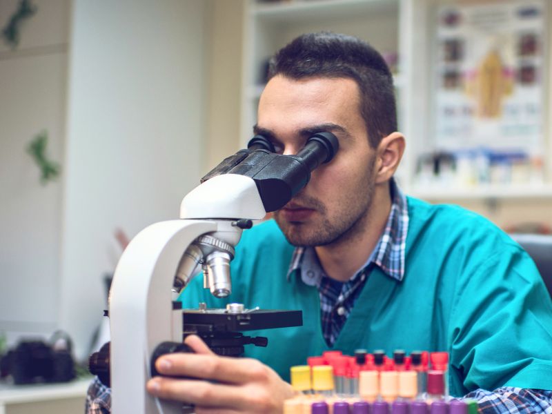 veterinary team member looking through a microscope at the lab